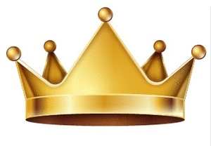 實車實價，公會認證